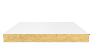 Стеновая сэндвич-панель (минеральная вата) 120 мм х 1190 мм (Гладкая)